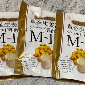 【3袋】日東食品工業 黄金生姜湯乳酸菌入り 5P 3袋　生姜湯　しょうが湯