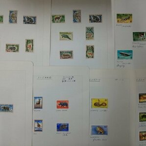 0404F31 外国切手 タンジール スペイン コンゴ キューバ等 ＊台紙に貼りつき有 使用済み混在の画像5