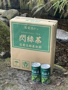 低電位e- せん緑茶 185g × 30本 缶