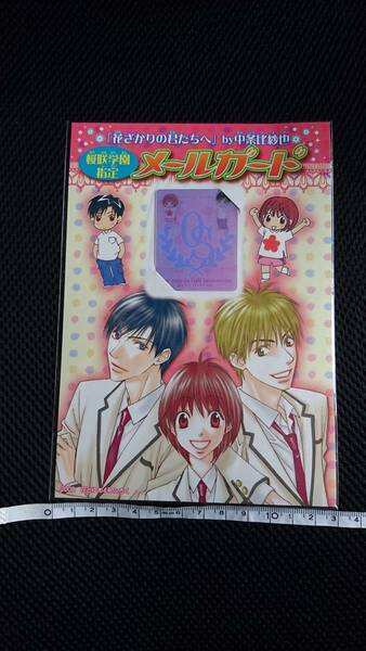 ■ 送料無料 即決 花とゆめ 2008年4号ふろく 付録 新品 未使用 白泉社 花ざかりの君たちへ 中条比紗也 桜咲学園指定 メールガード 当時物