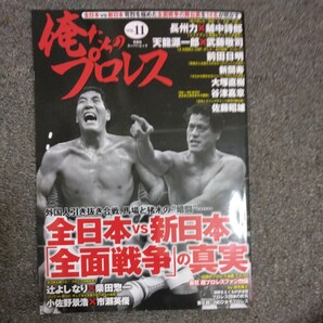 俺たちのプロレス VOL11 全日本 VS 新日本 全面戦争 の真実の画像1