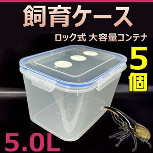 飼育ケース　ロック式　大容量コンテナ　5.0L　新品　5個　おまけ付　国産 外国産カブトムシ 幼虫飼育に最適　成虫一時管理にも