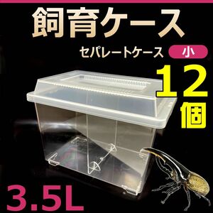 飼育ケース　セパレートケース　小　3.5L　新品　12個　カブトムシ・クワガタ 成虫飼育に最適　コバエ抑制