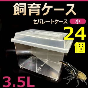 飼育ケース　セパレートケース　小　3.5L　新品　24個　カブトムシ・クワガタ 成虫飼育に最適　コバエ抑制