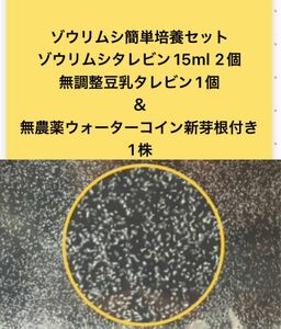 ゾウリムシ簡単培養セット ゾウリムシタレビン15ml 2個＆無調整豆乳タレビン1個＆無農薬ウォーターコイン新芽根付き1株