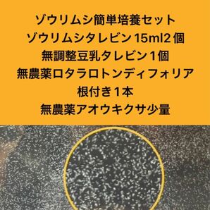 ゾウリムシ簡単培養セットゾウリムシタレビン15ml2個＋無調整豆乳タレビン1個＋ロタラロトンディフォリア根付1本＋アオウキクサ少量