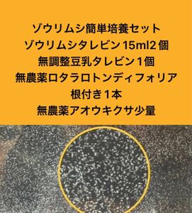 ゾウリムシ簡単培養セットゾウリムシタレビン15ml 2個＋無調整豆乳タレビン1個＋無農薬ロタラロトンディフォリア＋アオウキクサ少量