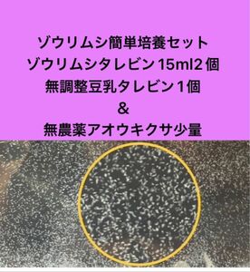 ゾウリムシ簡単培養セット　ゾウリムシタレビン15ml 2個＋無調整豆乳タレビン1個＋無農薬アオウキクサ少量