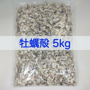 [ free shipping ] aquarium for ... chip 5kg pH improvement water quality improvement oyster ..... filter media 