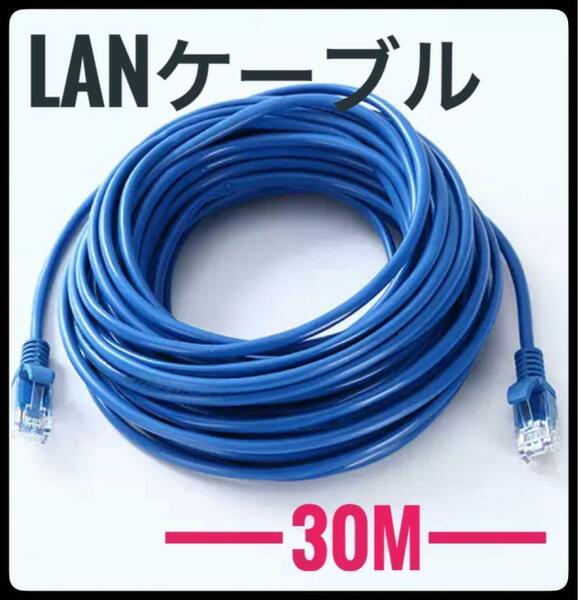 LANケーブル　30m　CAT5e 青　ブルー　事務所　テナント　自宅　オフィス　オンラインゲーム　インターネット　接続　ケーブル　長い