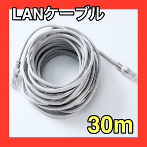 LANケーブル　30m　グレー　灰色　CAT5e 事務所　テナント　自宅　オンラインゲーム　インターネット　接続　オフィス　長い　ケーブル