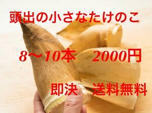 石川県産　新鮮たけのこ　即決2000円　送料無料