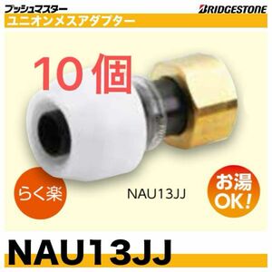 プッシュマスター　NAU13JJ 10個