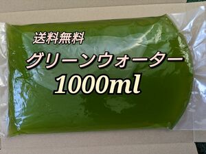 グリーンウォーター 1000ml　メダカ　稚魚　ミジンコ　青水　培養