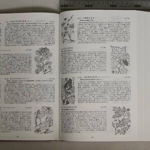 植物『新牧野日本植物圖鑑』牧野 富太郎 著, 大橋 広好 編さん 北隆館 補足:種子植物門裸子植物亜門被子植物亜門双子葉網古生花被亜門の画像7