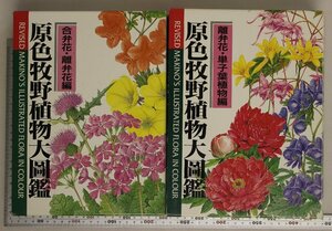 図鑑『原色牧野植物大図鑑 全2冊揃(離弁花・単子葉植物編/合弁花・離弁花編)』牧野富太郎著 北隆館 補足:被子植物亜門/種子植物門/裸子植物