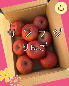 りんご サンフジ 正規品 8玉