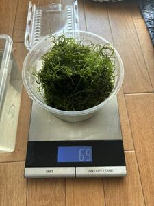 ウィローモス 無農薬 69g