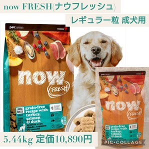 新品未開封☆定価10,890円 5.44kg now FRESH(ナウフレッシュ) 大粒 成犬用 ドッグフード ドライ レギュラー粒 グレインフリー 大型犬