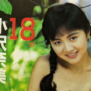 【匿名配送】スーパー写真塾1989年11月 山本千香子 工藤ひとみ 川添由貴恵 林 由美香 小沢奈美 小林麻利の画像2