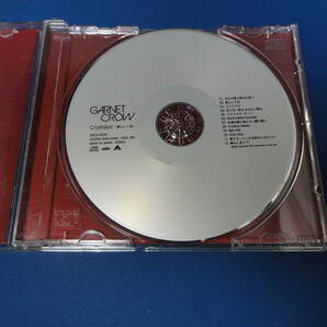 GARNET CROW/Crystallize～君という光～ CD★USED★の画像3