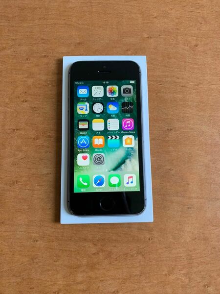 iPhone5s Space Gray 16GB DOCOMO バッテリー86%