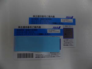 ＡＮＡ 全日空 株主優待券2枚セット 【２０２４年年５月３１日まで】