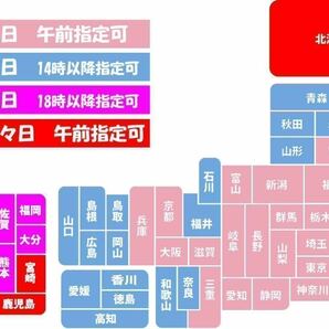 ボウズハゼ サイズM（7～10cm前後） 3匹セット 河川中流域 神奈川県 コケ取り 混泳OK 【送料無料 即決】の画像6