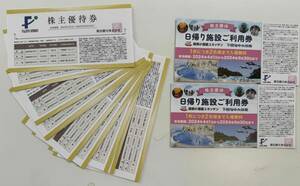 藤田観光株主優待(有効期間2024年4月1日〜同年9月30日まで)(株主優待券10枚＋日帰り施設ご利用券2枚=12枚)