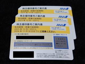 【新品未使用】全日空 ANA 株主優待券 有効期間2024年11月30日まで 在庫3枚