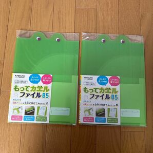 連絡ファイル　もってカエルファイル　B5 グリーン　入学準備　キョクトウ セット