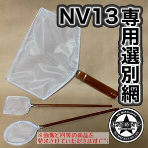 【極楽めだか】NV13専用めだかの選別タモ 白色大小3点セット（メダカ・網・手作り）の画像1