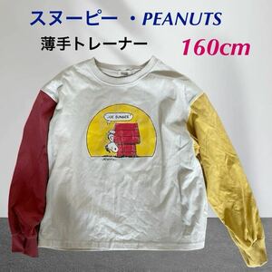 (98) かわいい　スヌーピー PEANUTS 長袖　Tシャツ　薄手トレーナー　両肩色違い　160cm