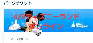 ぴよさん専用　4/9 オンライン グッズ用　ディズニーランド