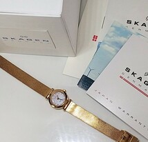 腕時計 SKAGEN DENMARK earth QUARTZ シェル盤 純正バンド 電池交換済 専用箱付_画像4