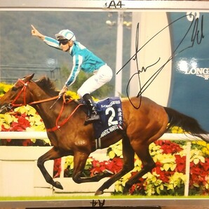 ジェームズ・マクドナルド騎手直筆サインパネル ロマンチックウォリアー 香港カップ クイーンエリザベス2世カップで2流日本馬をボコるwwの画像1