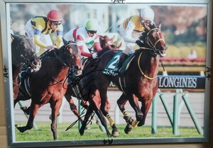 勝浦正樹騎手直筆サインパネル　ニシノデイジー　東スポ杯2歳ステークス　【悲報】藤岡康太に次いで引退(´；ω；｀)