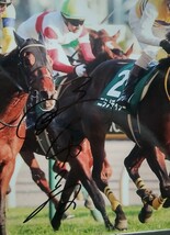 勝浦正樹騎手直筆サインパネル　ニシノデイジー　東スポ杯2歳ステークス　【悲報】藤岡康太に次いで引退(´；ω；｀)_画像2