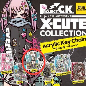 PROJECT. C.K. ART WORKS X-CUTE COLLECTION アクリルキーチェーン FAKE フェイク 黄組