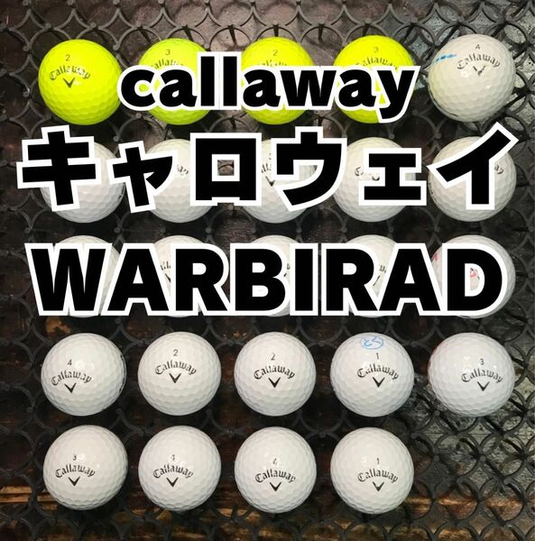 5 キャロウェイ WARBIRAD 24球 ロストボール