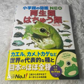 小学館の図鑑NEO 両生類・はちゅう類 （小学館の図鑑ＮＥＯ　６） 松井正文／指導・執筆　疋田努／指導・執筆　太田英利