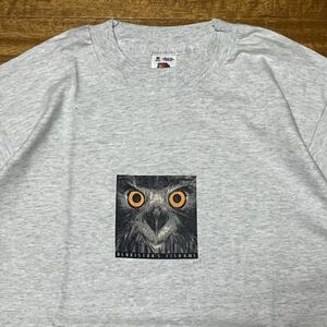 USA製 アニマルプリント Tシャツ フルーツオブザルーム Mサイズ シマフクロウ 鳥 シングルステッチ 90s ビンテージ