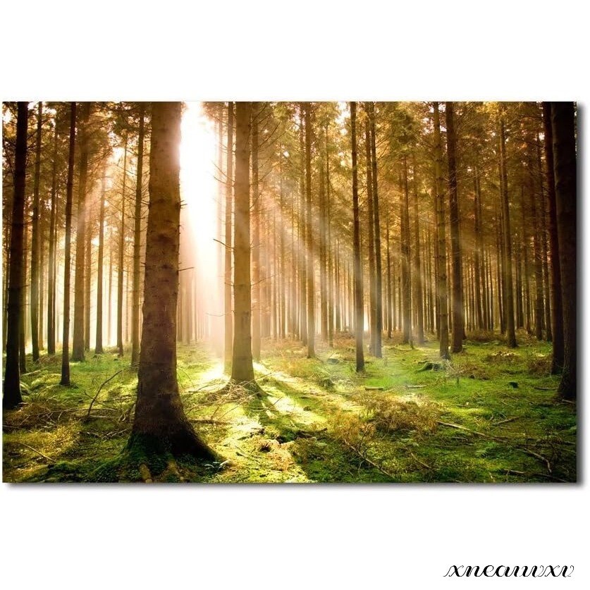 Lumière tombante, panneau artistique, la lumière du soleil filtre à travers les arbres, dans les bois, paysage naturel, intérieur, tenture, décoration de la chambre, toile, peinture, élégant, art, appréciation, intérieur, cadeau de pendaison de crémaillère, Ouvrages d'art, Peinture, graphique