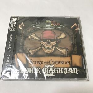 【新品未開封】 ＨＡＮ−ＫＵＮ／ＶＯＩＣＥＭＡＧＩＣＩＡＮ　CD