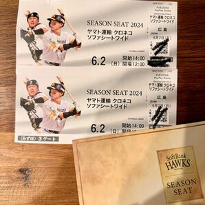 昼まで！6月2日（日）14時試合開始　交流戦　カープ戦 ホークス観戦チケット PayPayドーム ソフトバンクホークス