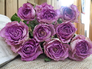 **...** standard rose 10ps.@425# dry flower 