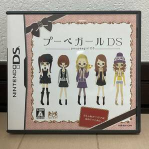 【1円～】任天堂DSソフト プーペガールDS ALVION NINTENDODS レトロゲーム 中古 ジャンクの画像1