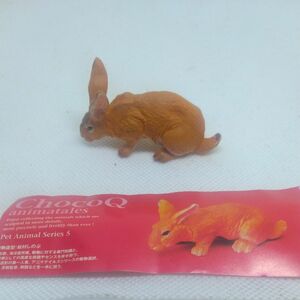 チョコエッグペット動物編　　　　　　フレミッシュジャイアント