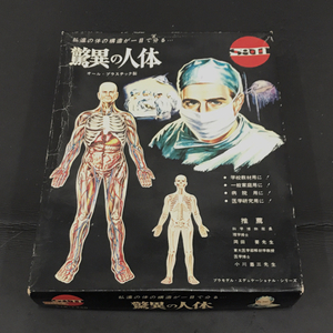  maru sun sensational human body model ete.ke-shonaru series .. anatomy model plastic model preservation box attaching 