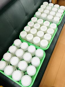 フジコン飼育ボトル800ml中古48本/菌糸瓶/飼育ケース/空ボトル